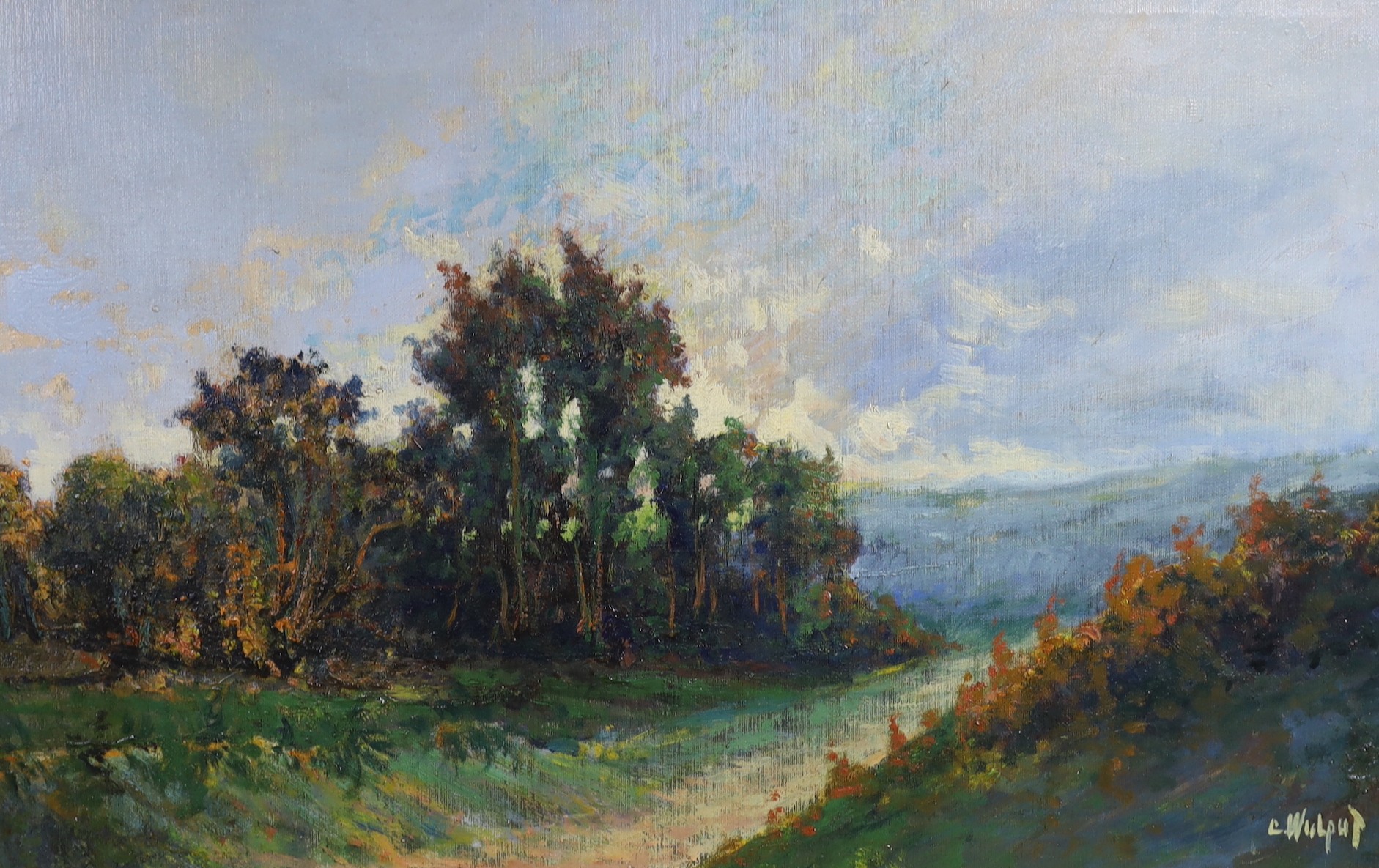 C. Wulput, oil on canvas, Heathland landscape, signed, 40 x 59cm